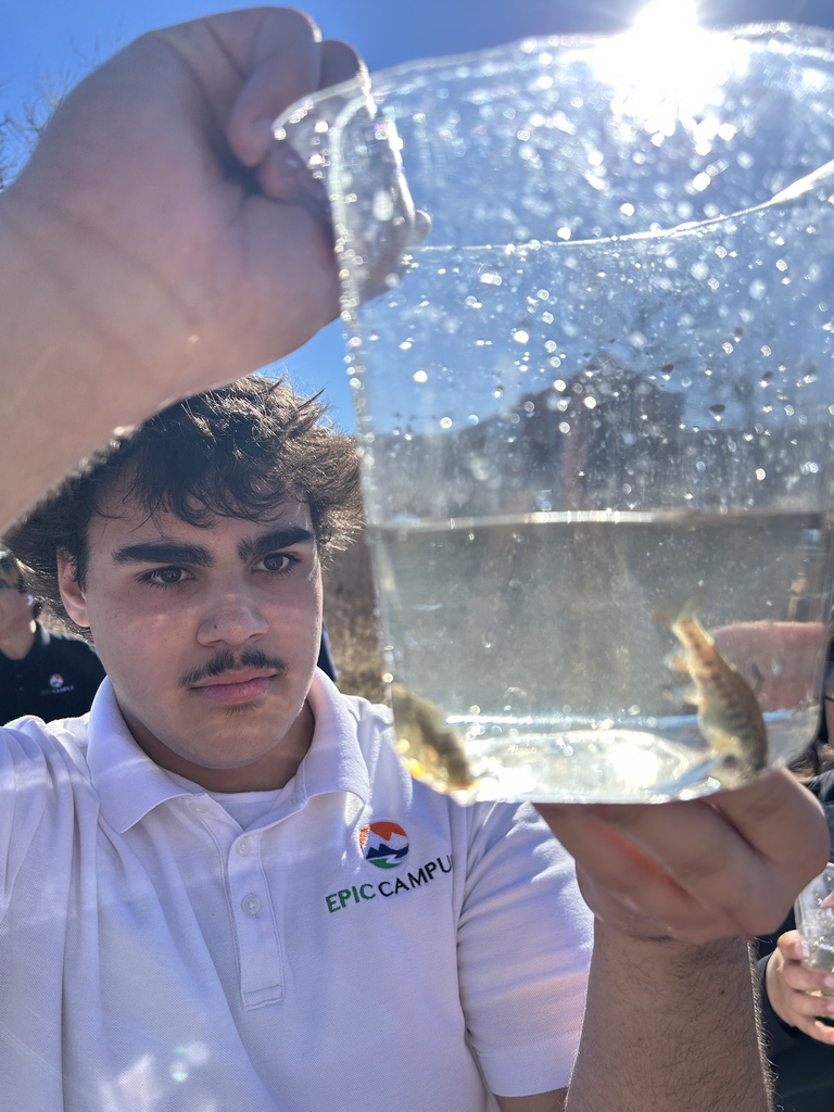 A student wearing a white EPIC Campus polo shirt holds up a clear container with small fish inside, examining them closely. Bright sunlight reflects off the water, and other students are partially visible in the background outside.