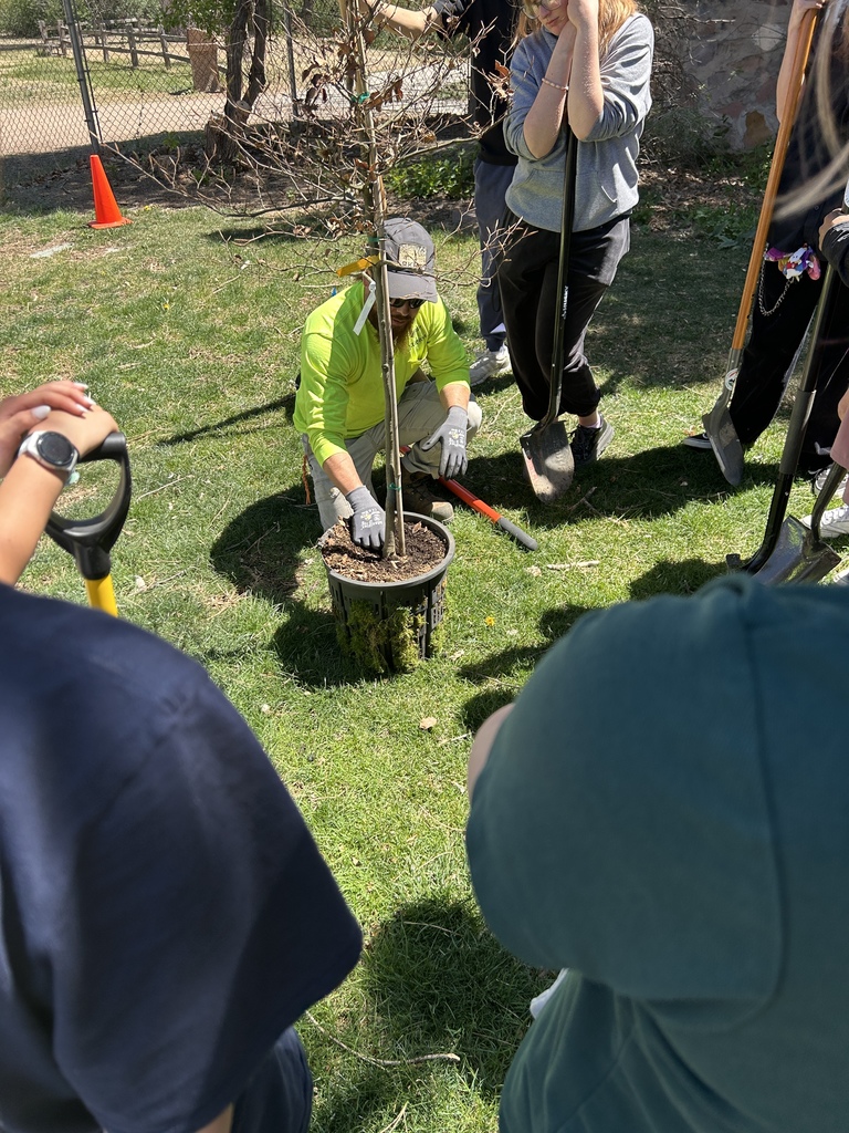 A group of people gather around a tree. One kneels to plant it while others hold shovels and rakes.