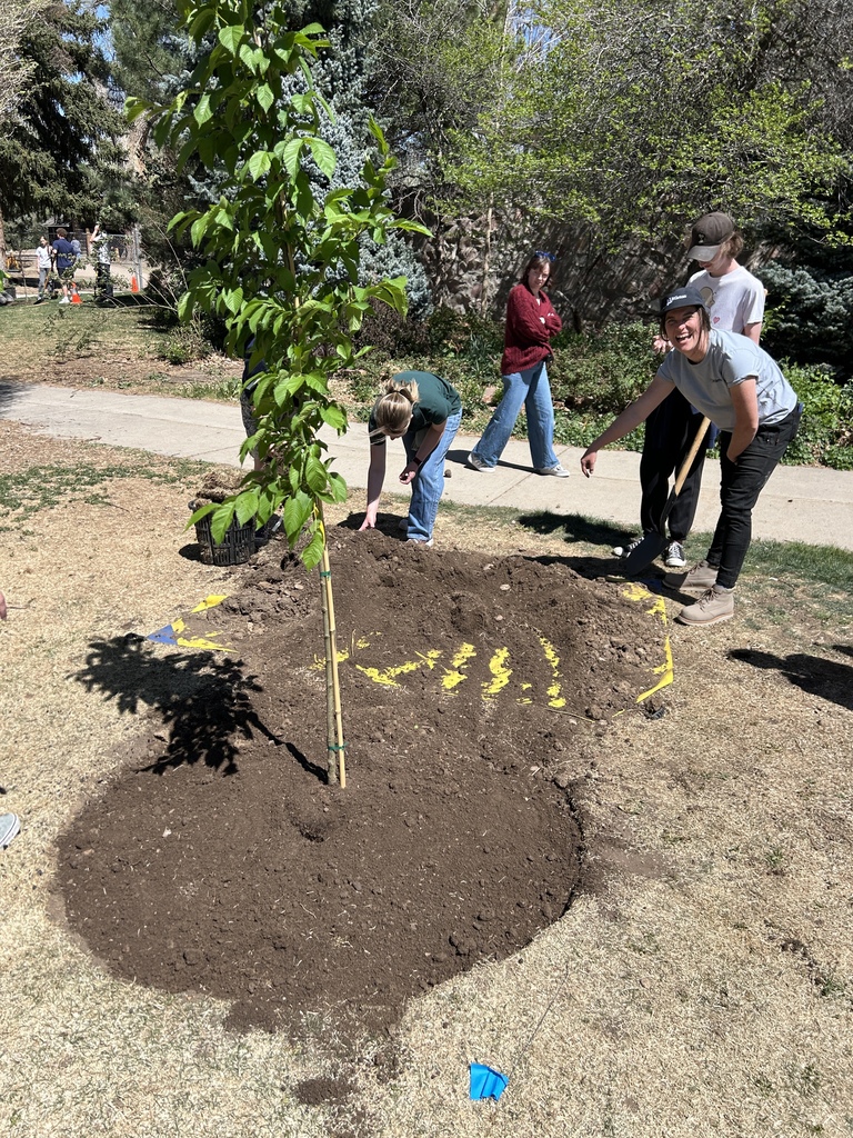 A group of people plants a small tree in a park. The tree is planted in a hole filled with dirt.