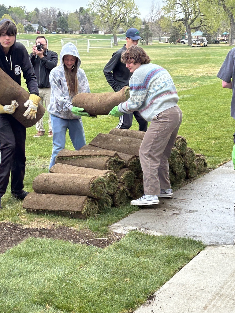 A group of people are handling rolls of brown material, possibly soil or grass, on a grassy field.