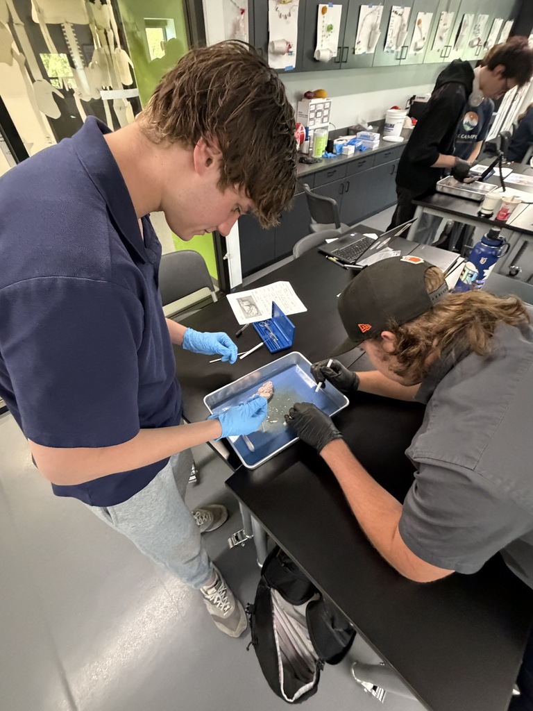 Two students wearing gloves examine a specimen in a lab, one using a magnifying glass.