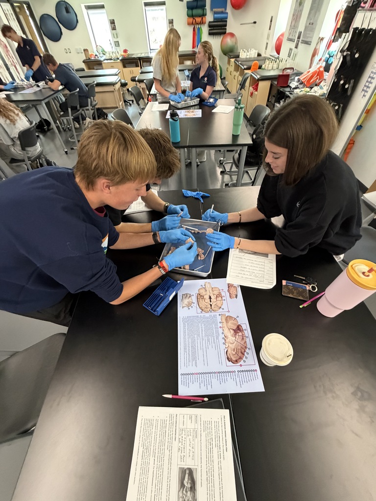 People in a lab wear gloves and look at an anatomical chart on a table.