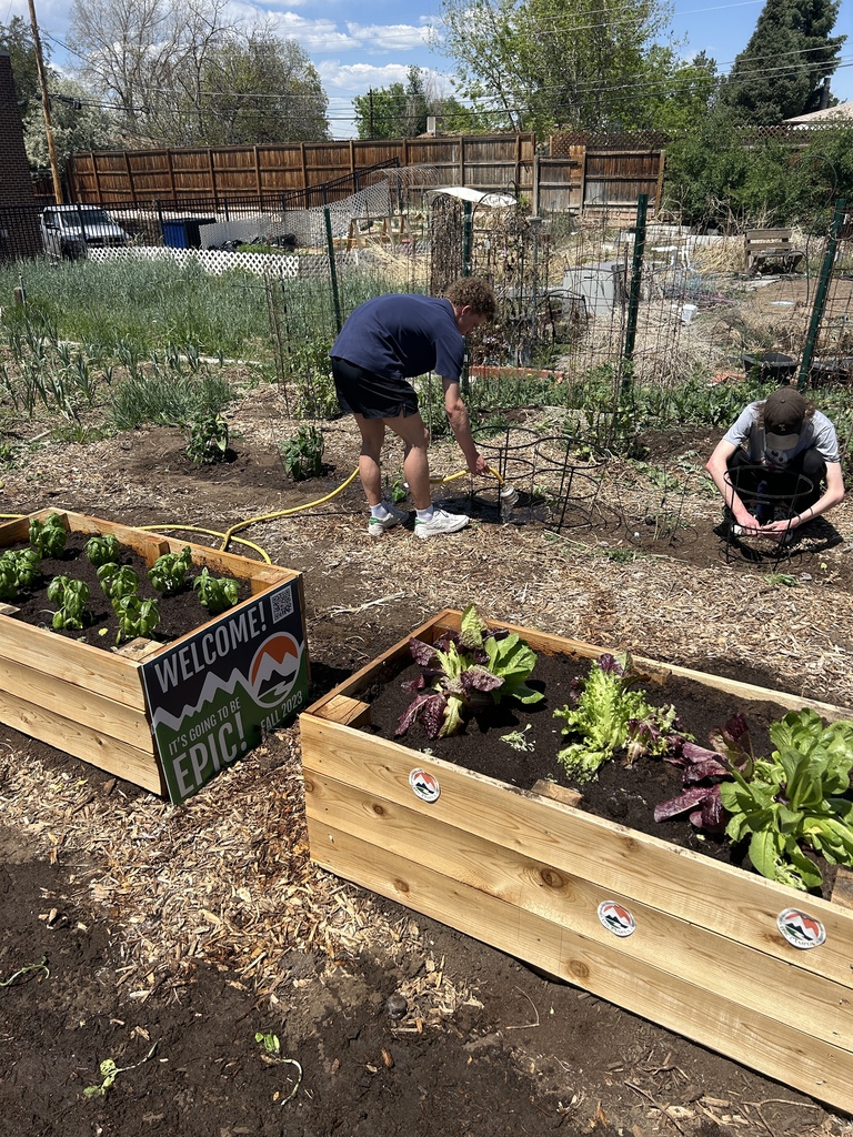 Two people work in an outdoor garden with wooden planters. One person is bent over, while the other stands. A fence, trees, and buildings are in the background.