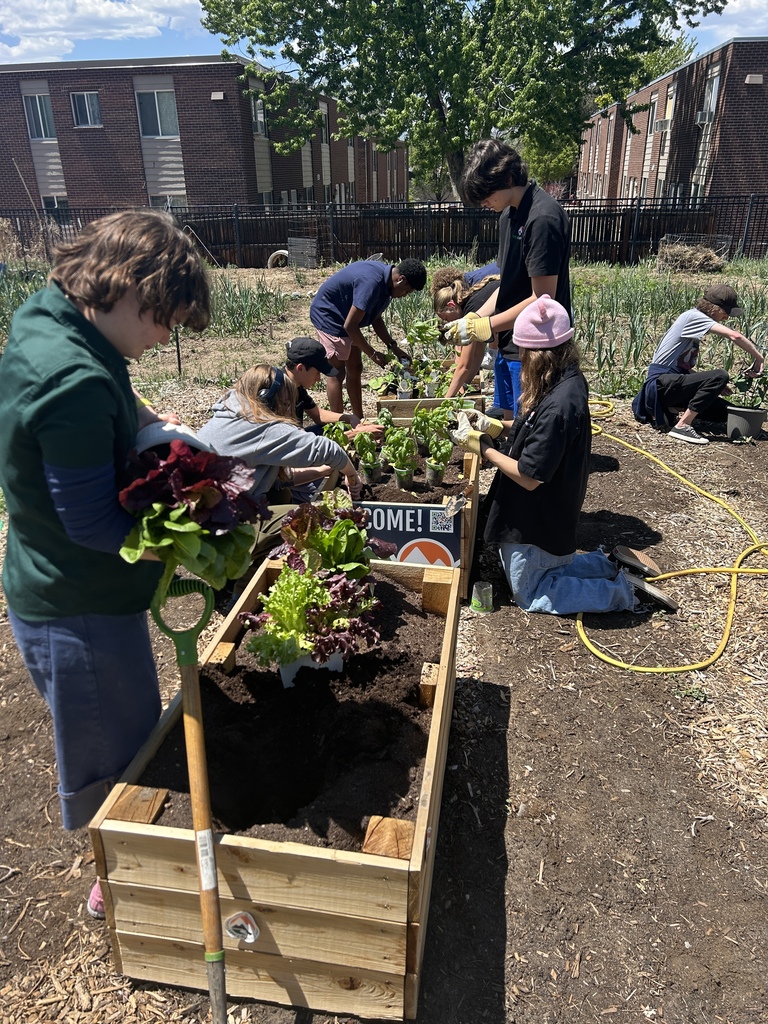 Multiple people gardening in raised wooden beds on a sunny day, with a tree and buildings in the background.