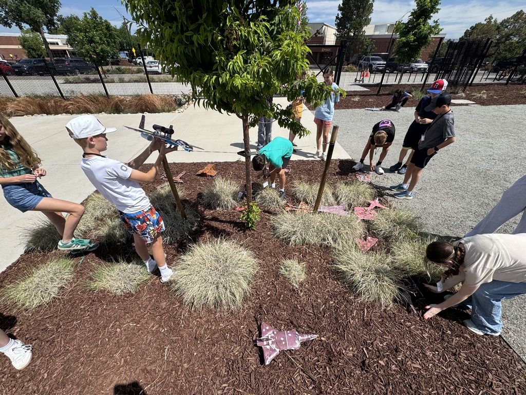 People in a park planting a tree, using tools, and arranging flowers in the soil.