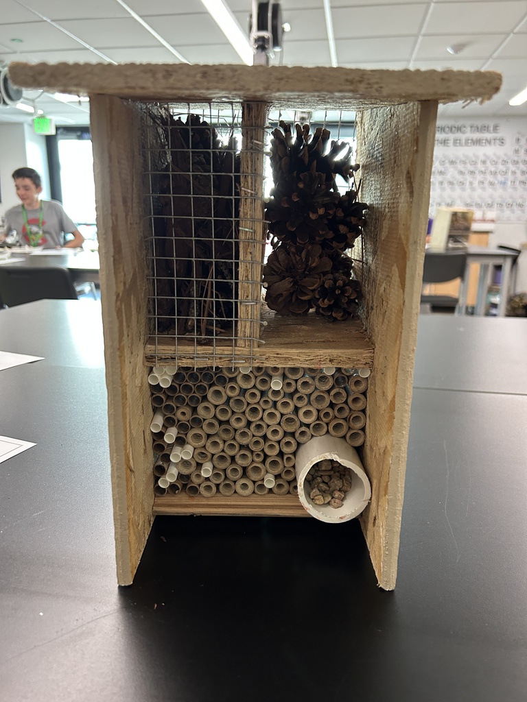 A wooden structure with a mesh cover and pine cones inside, possibly a bee hotel, on a black surface.