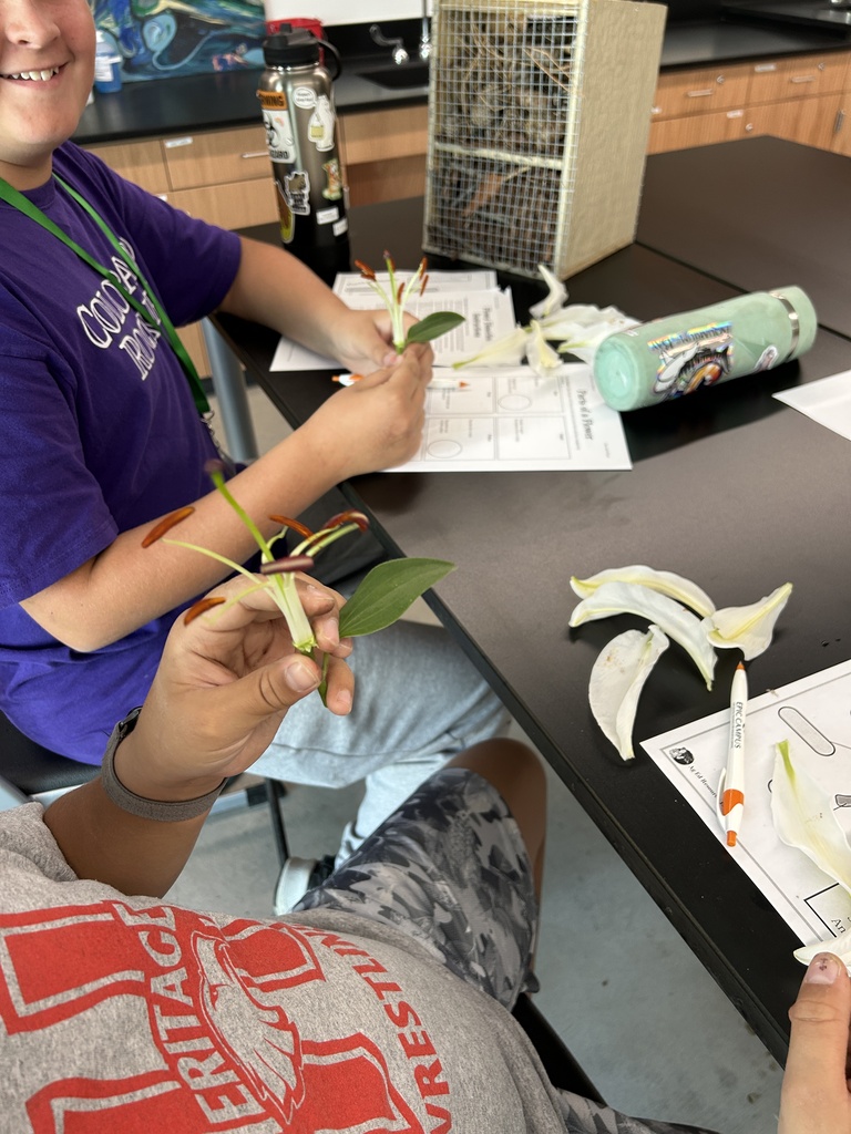 Two students sit at a desk, holding leaves and other items, with papers and a water bottle in front of them.