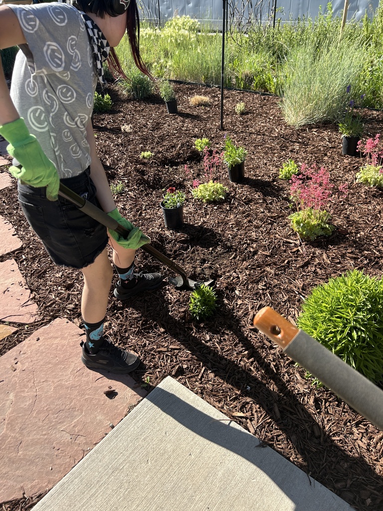 Person in gloves and sneakers using a rake in a garden with plants, shrubs, and mulch.