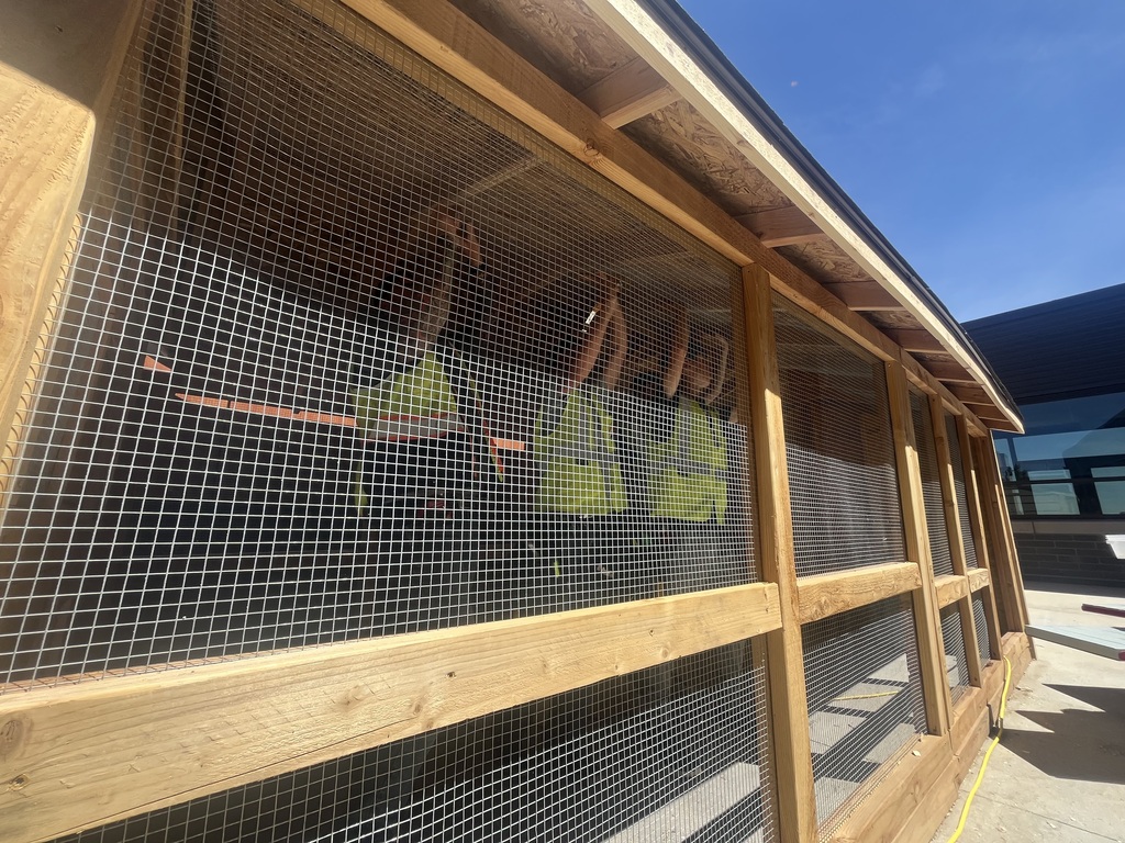Four people in yellow vests are working on a wooden structure with a mesh screen.