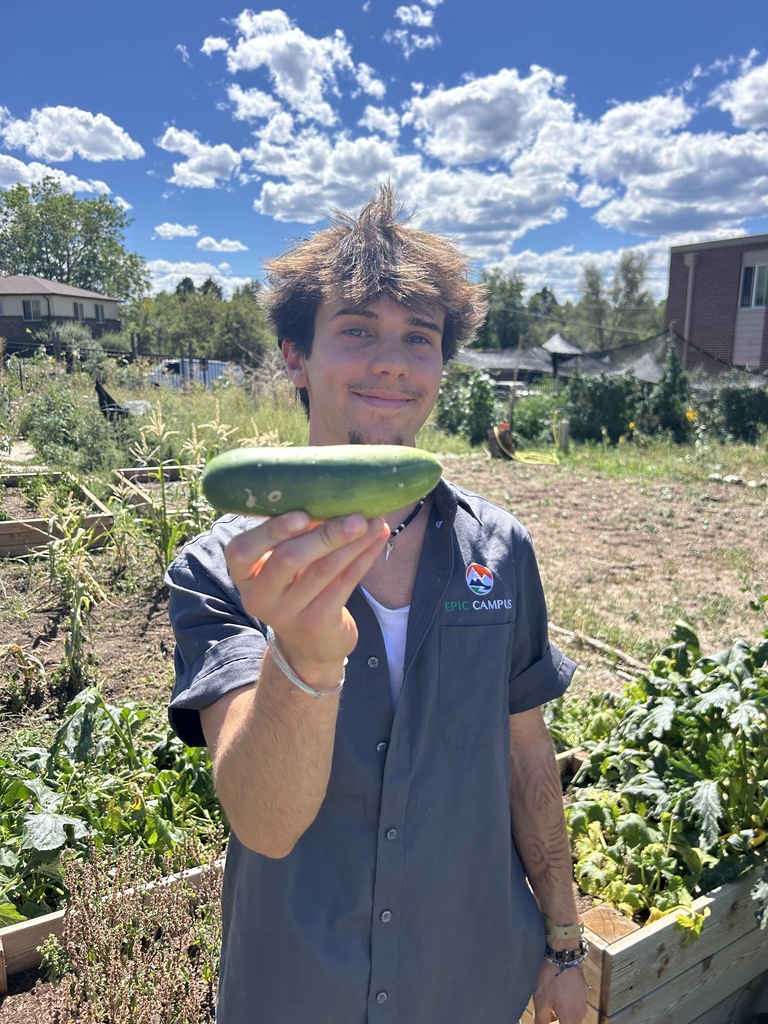 Person holding a large cucumber in a garden with various plants, wearing a gray shirt and a watch.