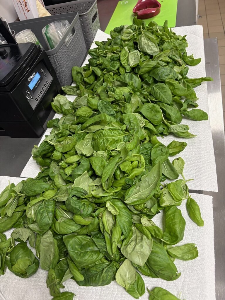 A table holds several white towels, each topped with a pile of fresh green leaves.