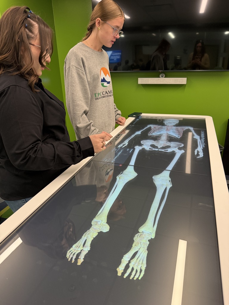 Two people look at a digital display showing a human skeleton in a room with green walls.