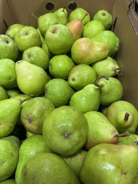 A cardboard crate packed tightly with fresh, bright green pears, a few showing slight hints of blush.