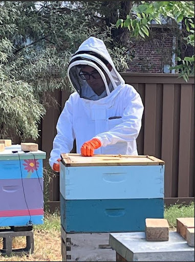  A person wearing a white beekeeper suit with a mesh hood and orange gloves is standing outdoors and working on a beehive. The beehive is a stack of two boxes, one light blue and one turquoise, and there is a second, brightly painted beehive behind it.