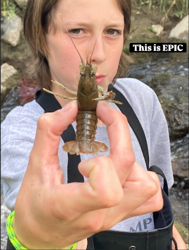 A close-up photo shows a young person holding up a small crayfish they found in a creek. The crayfish is held by its body, and the person's face is partially visible in the background, along with the creek bed.