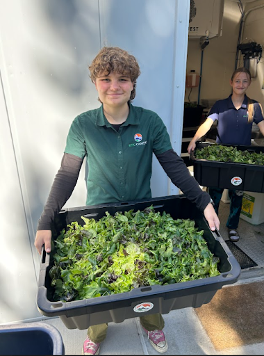  Two people, wearing green and blue shirts with "EPIC CAMP" branding, are smiling while holding large black bins overflowing with freshly harvested leafy greens (likely lettuce mix) outdoors.