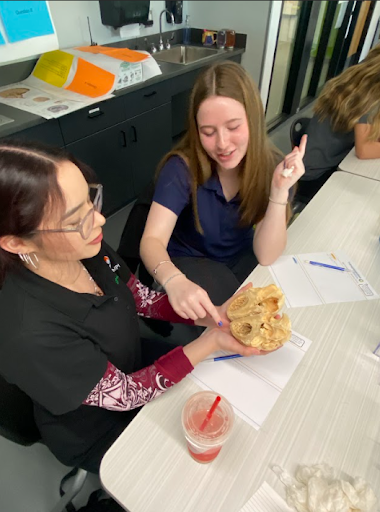 Two young women in a classroom looking at and pointing to a realistic anatomical model of a heart on a table.