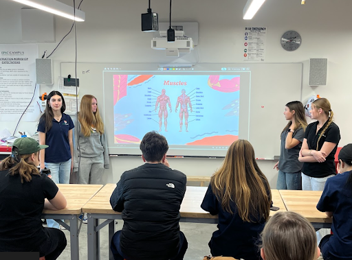 Students stand by a projector screen displaying a diagram of human muscles during a presentation in a classroom.