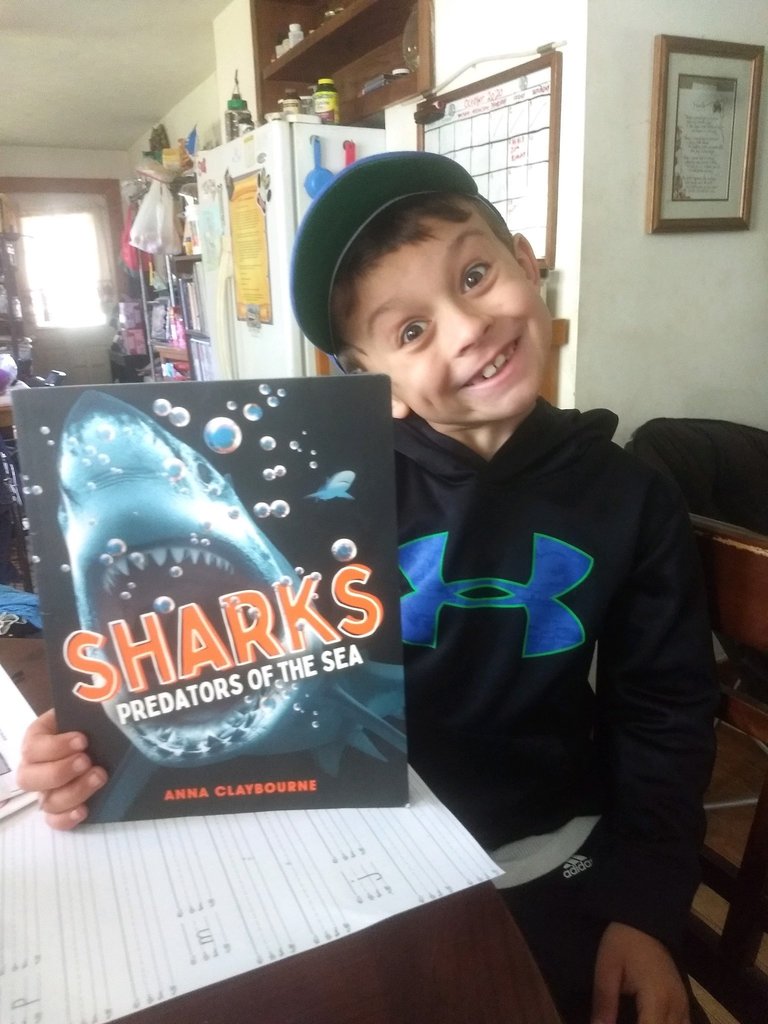 Sharks