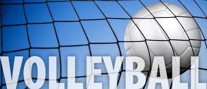 volleyball in net