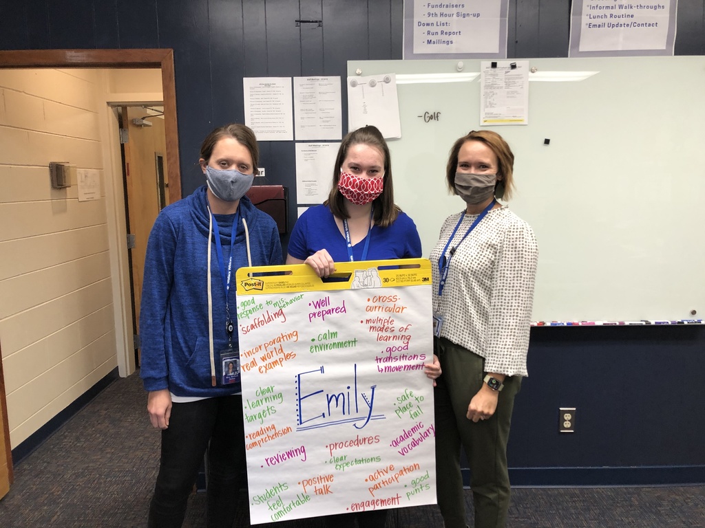 Cadre #5 of Teaching Studies