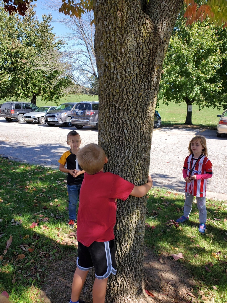 Albert the Tree