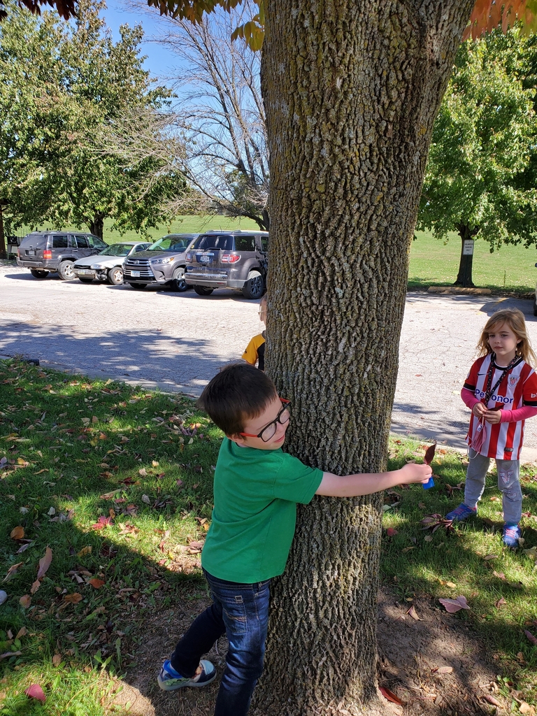 Albert the Tree