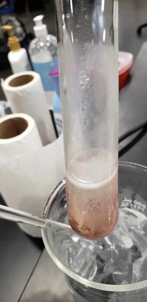 enzymes in action