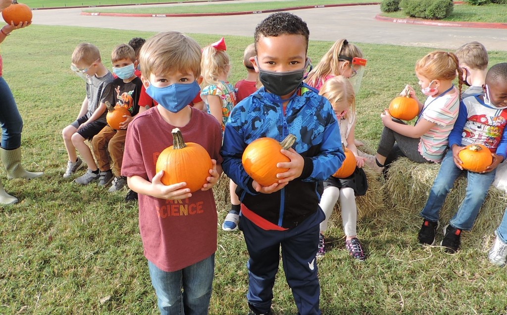 Boys with pumpkins