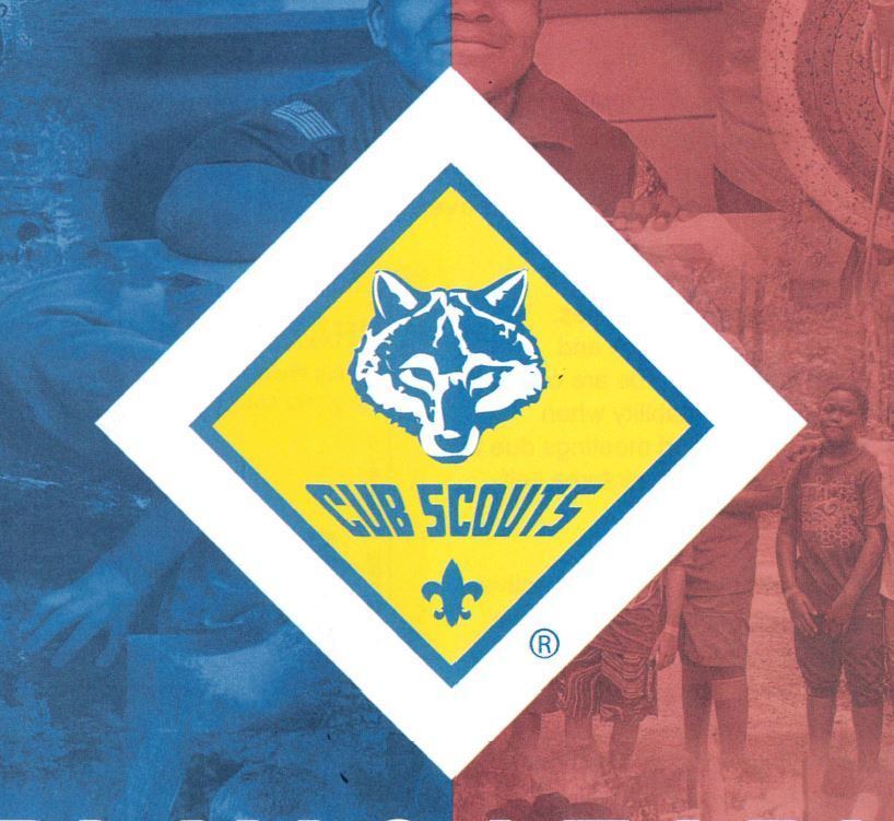 Cub Scouts