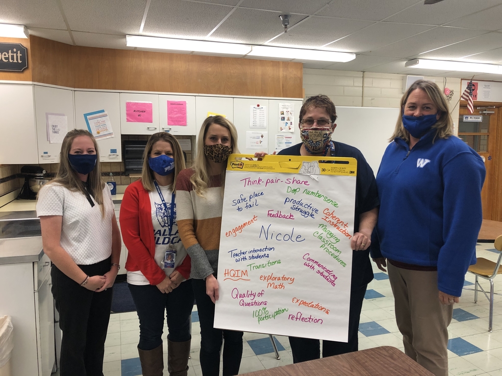 Cadre #6 of teaching studies