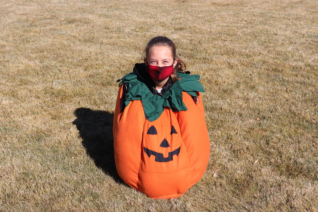 We had this pumpkin growing right on the field