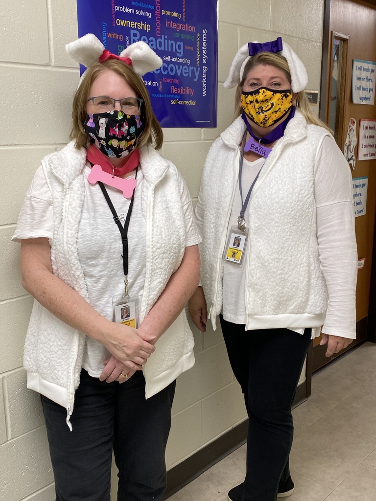 #mphawks