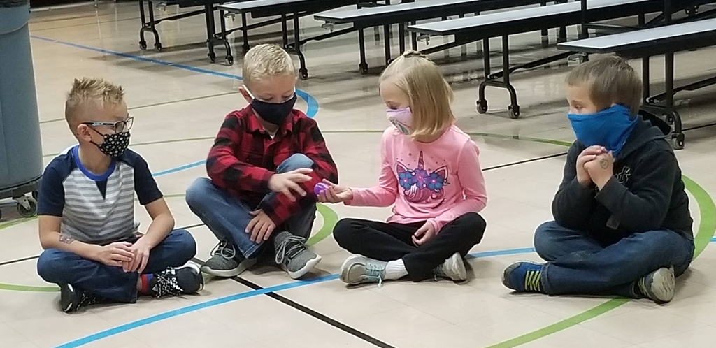 #mphawks