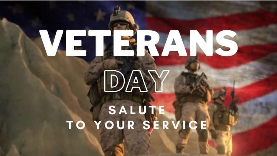 Veterans Day Salute