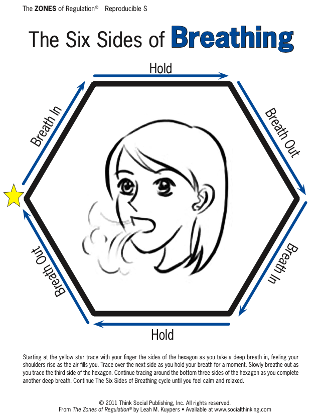 Zones in Regulation Image 