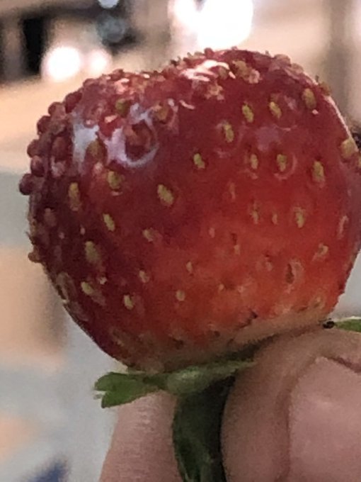 strawberry