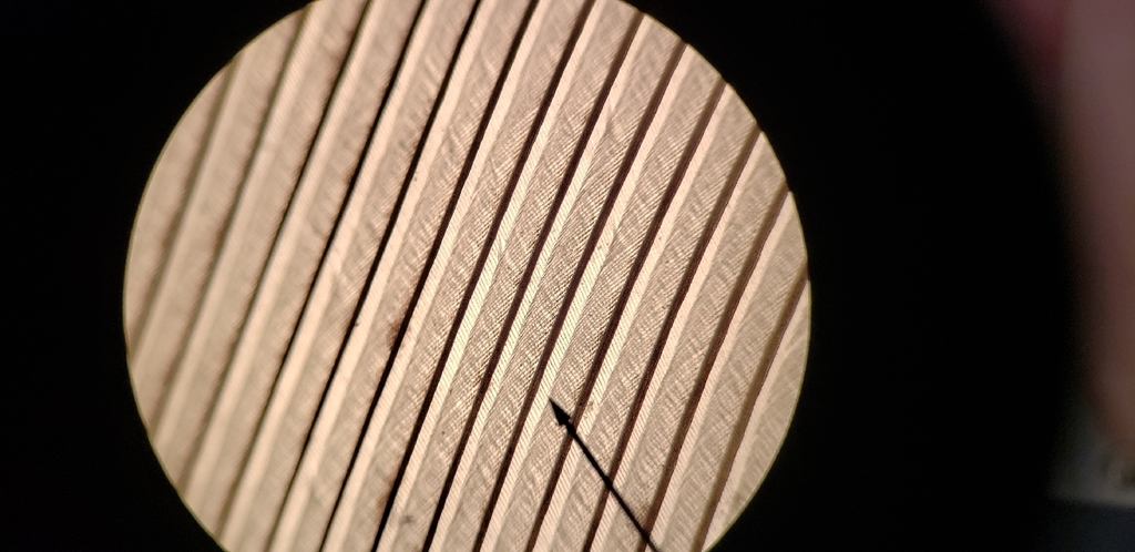 feather