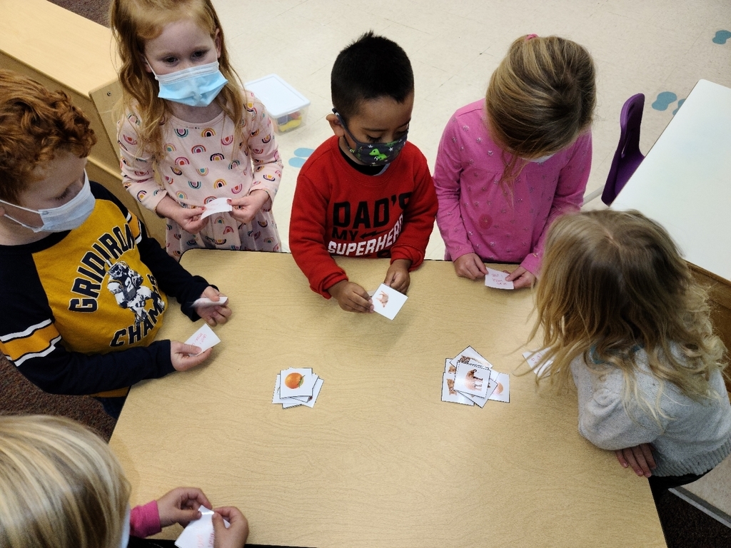 Pre-K sorting plants and animals