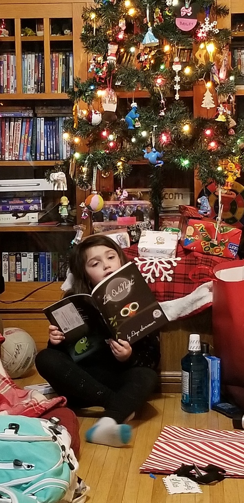 Photos of the 13 Days of Christmas