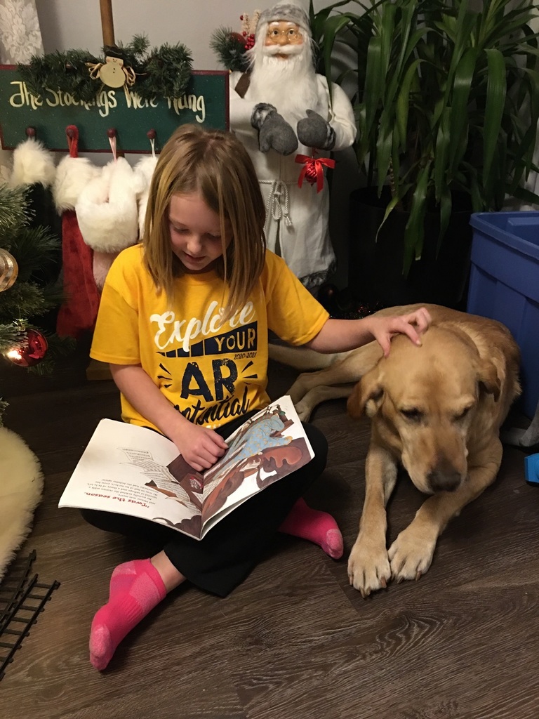 13 Days of Christmas Photos