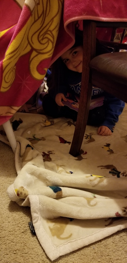 13 Days of Christmas Photos