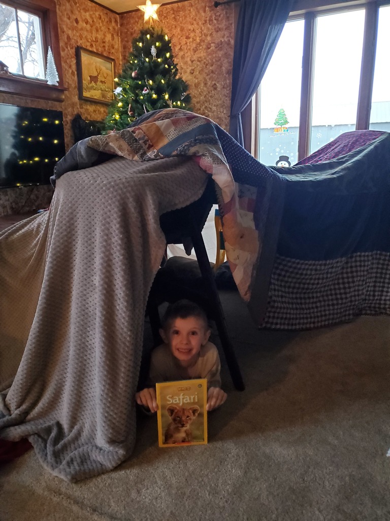 13 Days of Christmas Photos