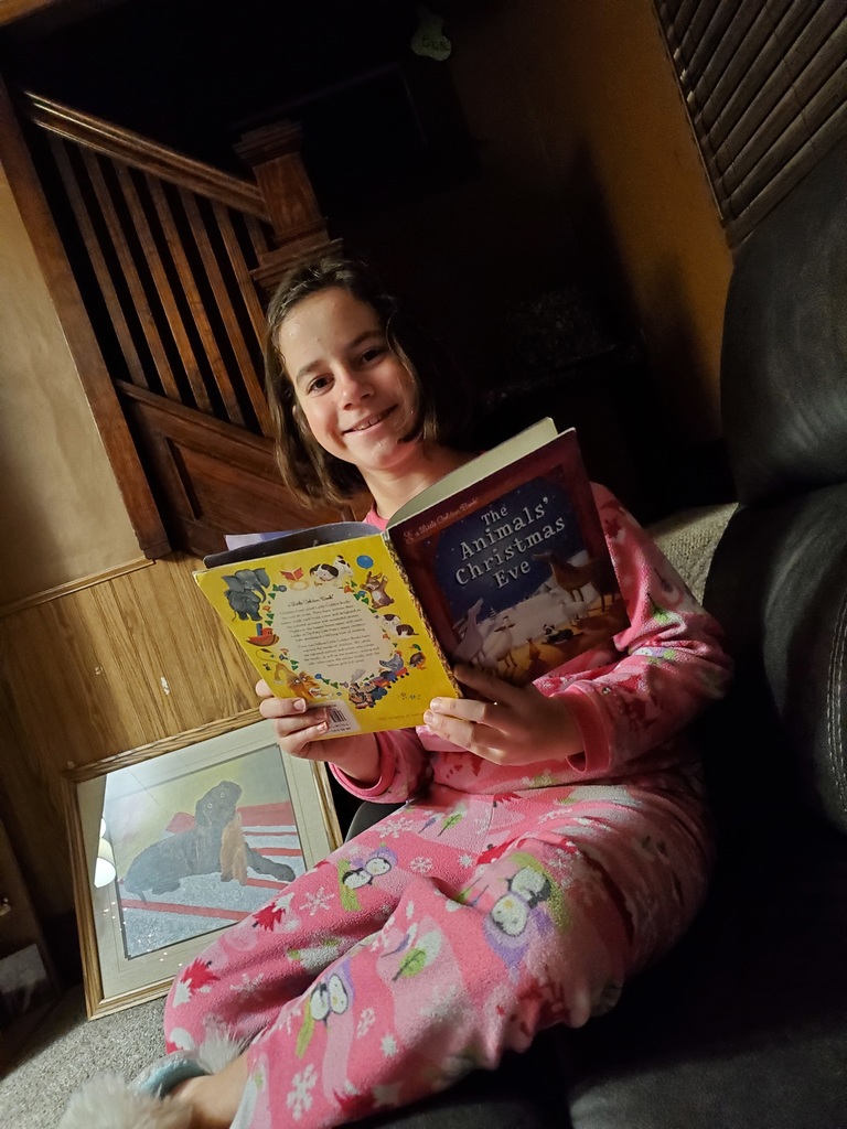 13 Days of Christmas Photos