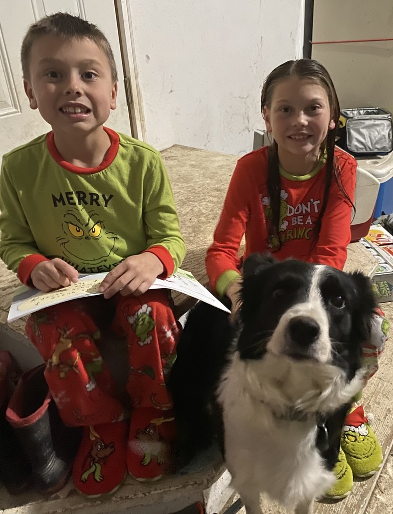 13 Days of Christmas Photos