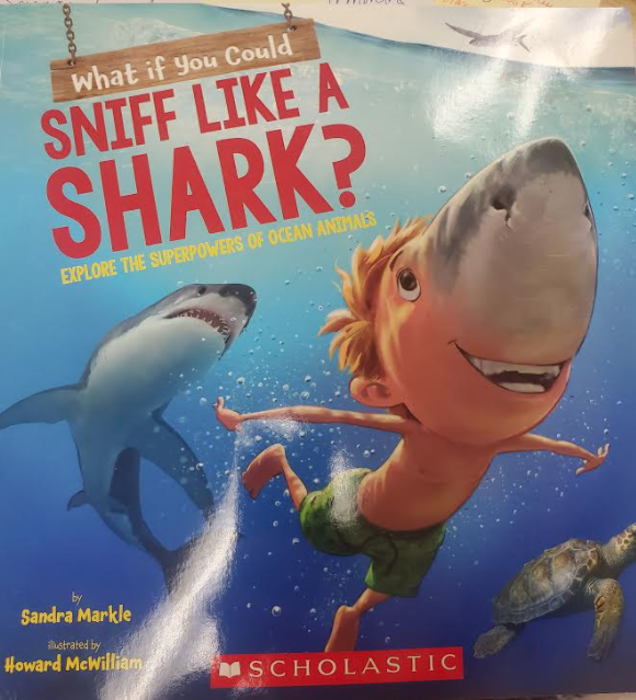 Book by Sandra Markle