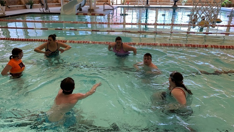 Owls at the pool with Lou!