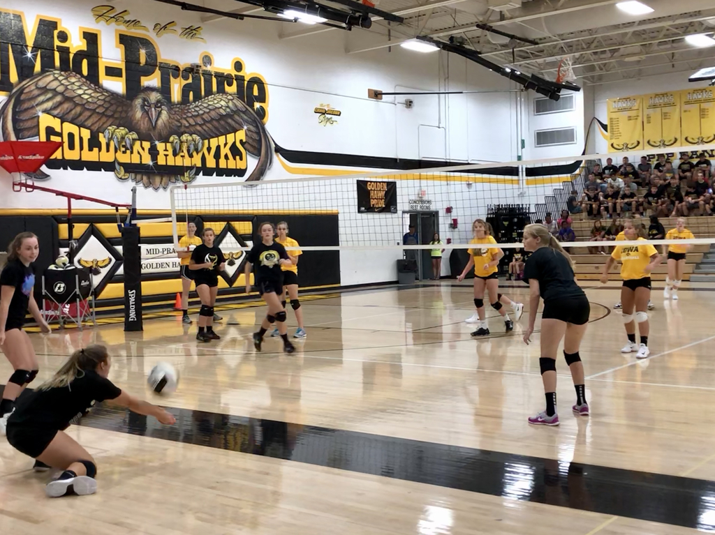 MP volleyball Gator Bowl