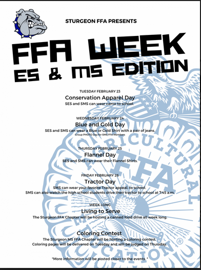 FFA PK-8 dress-up days