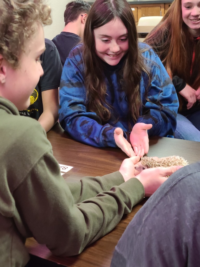 hedgehog & 8th grade